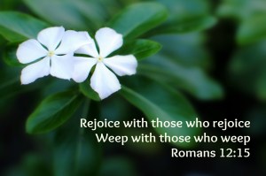 romans-12_15