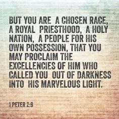 1 peter 2.9