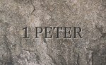 peter rock
