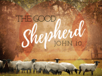 The-Good-Shepherd