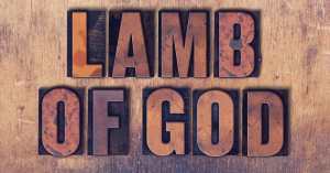 lamb of God